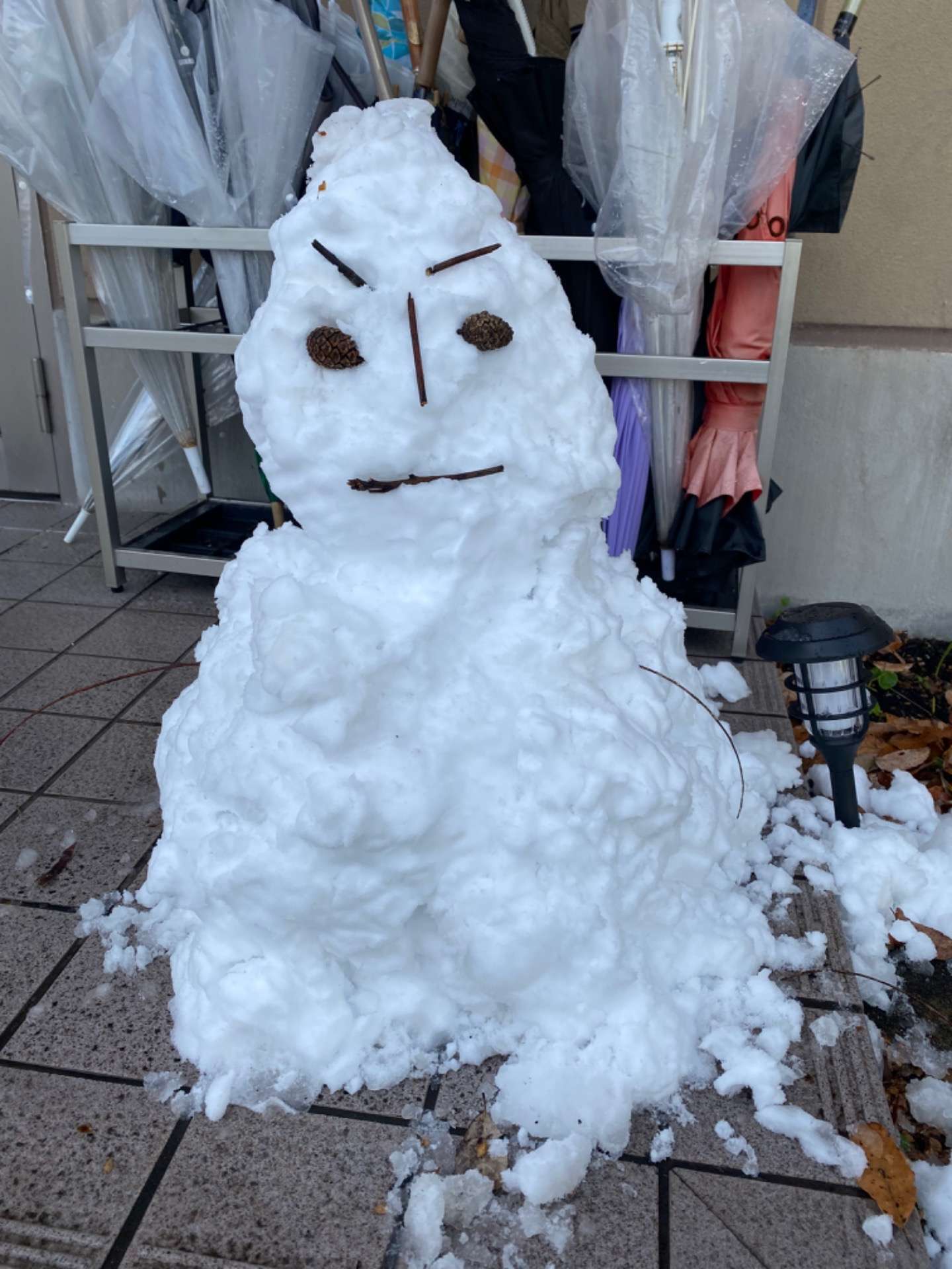【名古屋市天白区にある介護施設】雪で喜んでいるのは